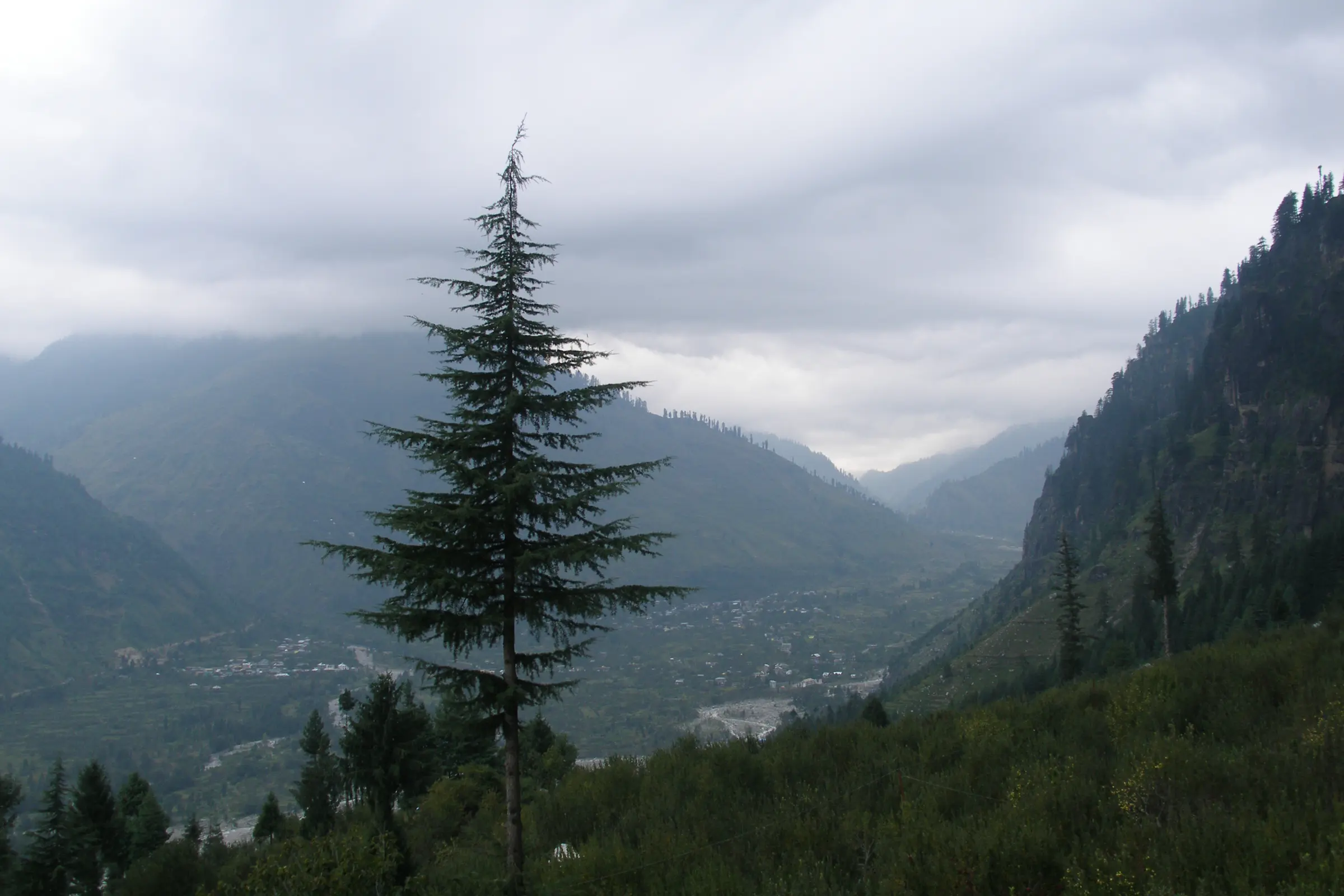 Forested mountains and villages of the Kullu Valley, Himachal Pradesh